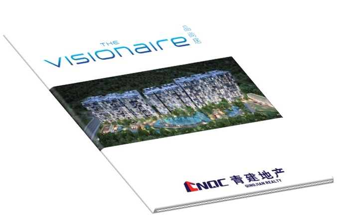 visionaire brochure